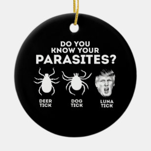 DÉCORATION EN CÉRAMIQUE CONNAISSEZ-VOUS VOS PARASITES ?