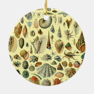 Décoration En Céramique Coquillage Coquille Mollusque Clam Élégant Classiq