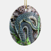 Décoration En Céramique Couleuvre à rayures de l'est au cap Cod (Droite)