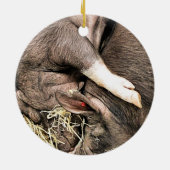 DÉCORATION EN CÉRAMIQUE COUPER LES COCHONS DE SOMMEIL (Dos)