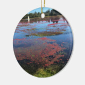 Décoration En Céramique Cranberry Farm, Long Beach, Washington (Gauche)