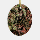 Décoration En Céramique Crassula perforata (Droite)