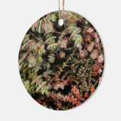 Décoration En Céramique Crassula perforata (Gauche)