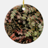 Décoration En Céramique Crassula perforata (Dos)