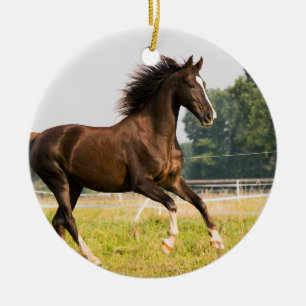 Décoration En Céramique Créez votre propre photo de cheval de compagnie pe