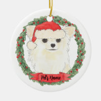 Crème blanche à long haïl personnalisée Chihuahua