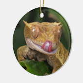 Décoration En Céramique Crested Gecko Lizard (Gauche)