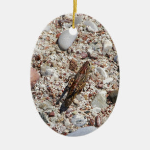 Décoration En Céramique Cricket de Jiminy