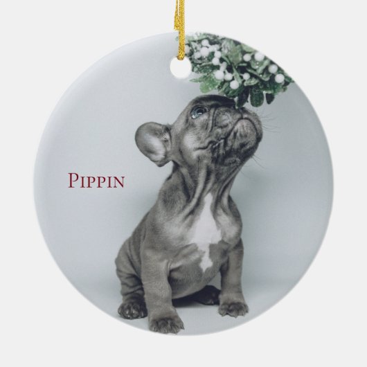 Décoration En Céramique Custom Puppy Dog Pet Photo Ceramic Ornament (Dos)