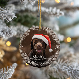 Décoration En Céramique Cute Dog Puppy Pet First Christmas Photo Snowflake