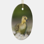 Décoration En Céramique Cute Gosling photo de la faune (Droite)