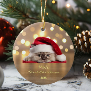 Décoration En Céramique Cute Ragdoll Chat Santa Hat Paw Or Personnalisé