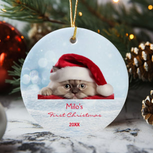 Décoration En Céramique Cute Ragdoll Chat Santa Hat Paw Snow Personnalisé