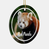 Décoration En Céramique Cute Red Panda Frame (Droite)