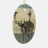 Décoration En Céramique Cute Reindeer (Droite)