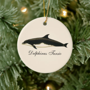 Décoration En Céramique Dauphins Delphinus Tursio, Animaux Marins Vintage