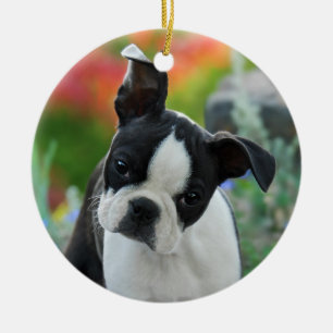 Décoration En Céramique Décor de coup de chiot de chien de Boston Terrier