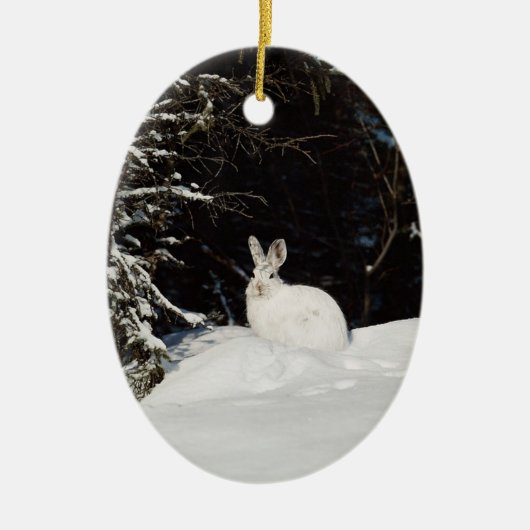 Décoration En Céramique Decorations de White Bunny Rabbit Wildlife Holiday (Devant)