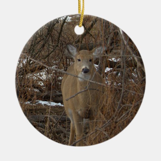 Décoration En Céramique Deer Photo Ornament (Devant)
