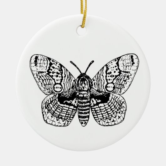Décoration En Céramique Dessin Brahmin moth (Devant)