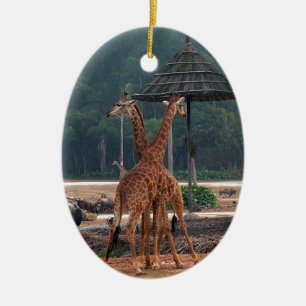 Décoration En Céramique Deux girafes se réconfortant mutuellement dans un 