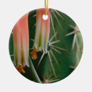 Décoration En Céramique Dew sur Aloe Bloom
