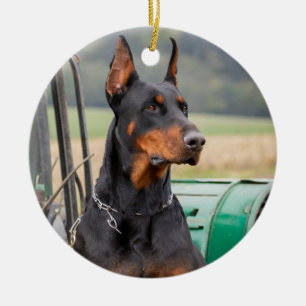 Décoration En Céramique Doberman assis dans une machinerie agricole verte