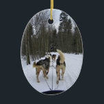 Décoration En Céramique Dog Sledding à Québec, Canada<br><div class="desc">View while riding in a sleigh g pulled by beautiful & happy dogs à Québec,  Québec,  Canada. Dog sledding through a quiet forest trail un of our favorite things on our trip to Québec. Photo prise en février 2012.</div>