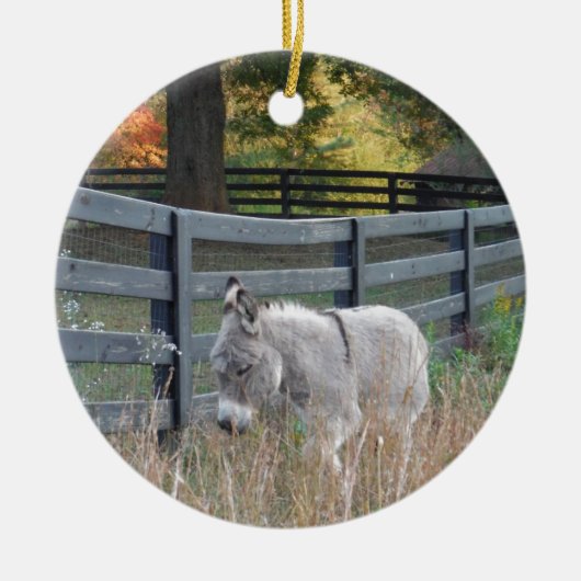 Décoration En Céramique Donkey dans un champ d'automne (Devant)