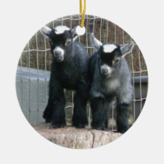 Décoration En Céramique Double problème