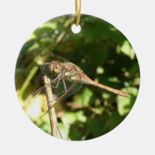 Décoration En Céramique Dragonfly on Twig Orament