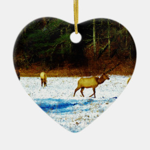 DÉCORATION EN CÉRAMIQUE DSC00131.JPG