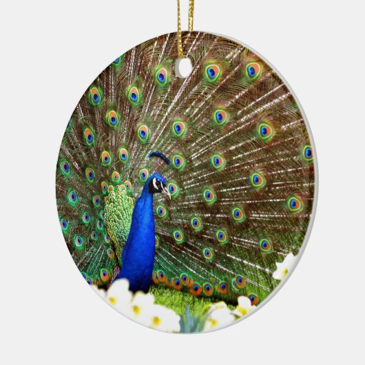 Décoration En Céramique Écrans Peacock (Gauche)
