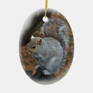 Décoration En Céramique Écureuil gris oriental - Sciurus carolinensis