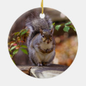 Décoration En Céramique Écureuil mendiant (Dos)