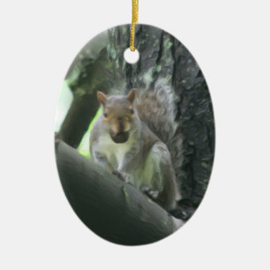 Décoration En Céramique Écureuil mignon avec l'ornement d'animal d'écrou