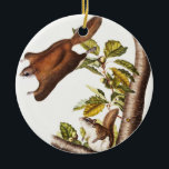 Décoration En Céramique Écureuil volant de l'Oregon (Pteromys Origonensis)<br><div class="desc">Oregon Flying Squirrel (Pteromys Origonensis) des quadrupèdes vivipares de l'Amérique du Nord (1845),  illustré par John Woodhouse Audubon (1812-1862)</div>