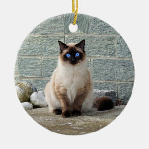 Décoration En Céramique Élégante photo de chat siamois