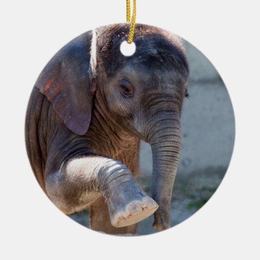 Décoration En Céramique Eléphant bébé (Devant)