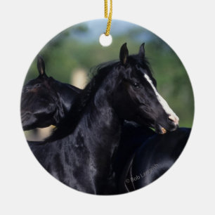 Décoration En Céramique Éraflure arabe de cheval