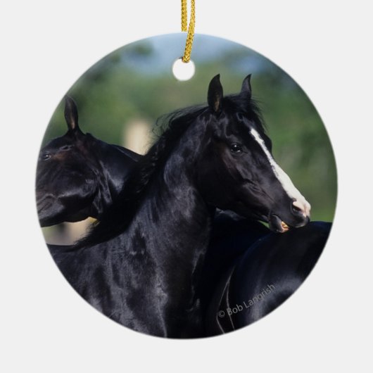 Décoration En Céramique Éraflure arabe de cheval (Devant)