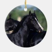 Décoration En Céramique Éraflure arabe de cheval (Dos)