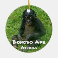 Espèces en voie de disparition série Bonobo Ape