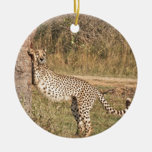 Décoration En Céramique Étirage du guépard (Devant)
