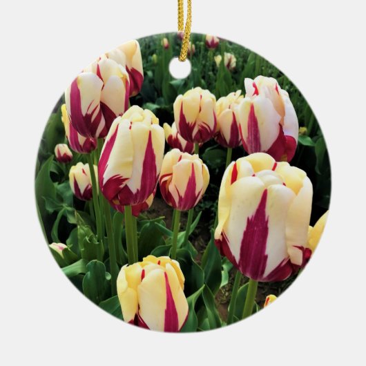 Décoration En Céramique Expression mondiale tulips, Oregon (Devant)