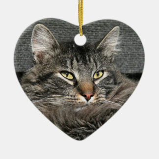 Décoration En Céramique Face du chat Maine Coon
