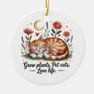 Décoration En Céramique Faire pousser des plantes que les chats domestique