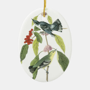 Décoration En Céramique Fauvette Cerulean, John Audubon
