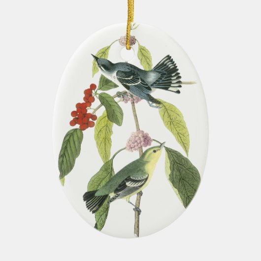 Décoration En Céramique Fauvette Cerulean, John Audubon (Devant)