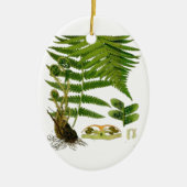 Décoration En Céramique Fern (Devant)